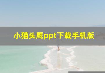 小猫头鹰ppt下载手机版