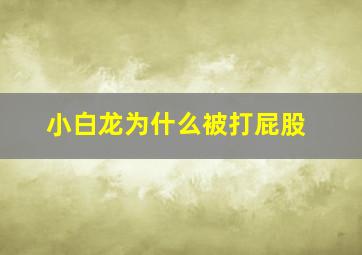 小白龙为什么被打屁股