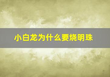 小白龙为什么要烧明珠