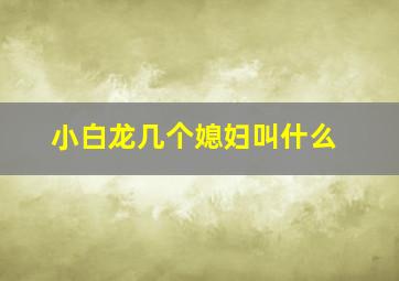 小白龙几个媳妇叫什么