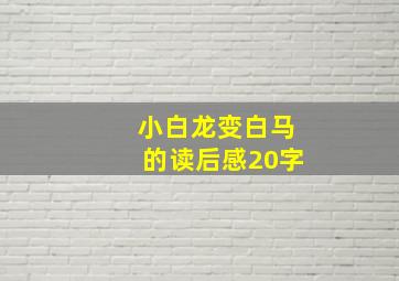 小白龙变白马的读后感20字