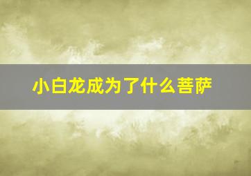 小白龙成为了什么菩萨