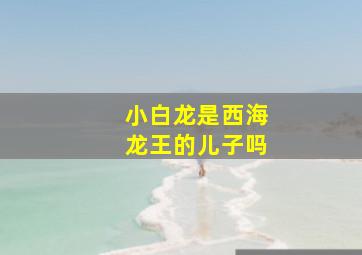 小白龙是西海龙王的儿子吗