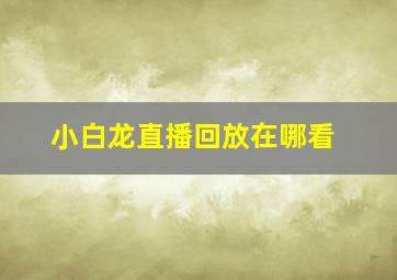 小白龙直播回放在哪看