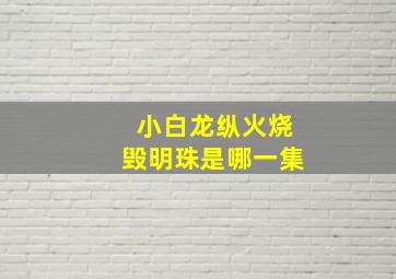 小白龙纵火烧毁明珠是哪一集