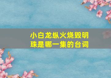 小白龙纵火烧毁明珠是哪一集的台词