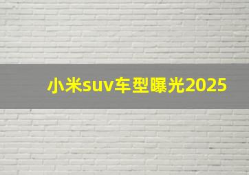 小米suv车型曝光2025