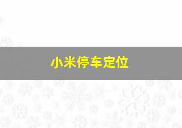 小米停车定位