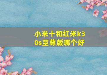 小米十和红米k30s至尊版哪个好