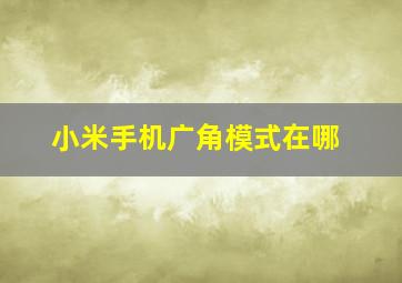 小米手机广角模式在哪