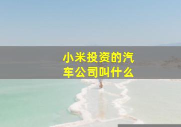 小米投资的汽车公司叫什么