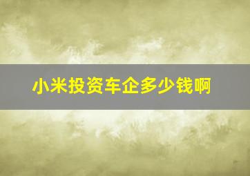 小米投资车企多少钱啊