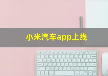 小米汽车app上线