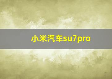 小米汽车su7pro