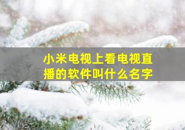 小米电视上看电视直播的软件叫什么名字