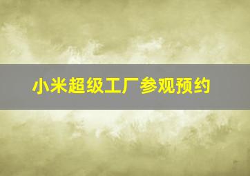 小米超级工厂参观预约