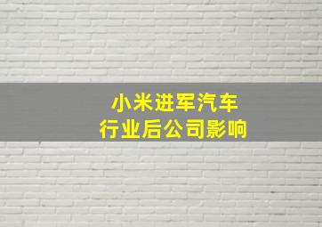 小米进军汽车行业后公司影响