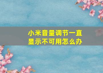 小米音量调节一直显示不可用怎么办