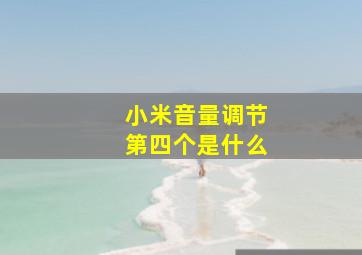 小米音量调节第四个是什么