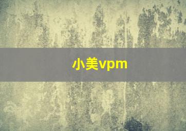 小美vpm