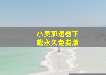 小美加速器下载永久免费版