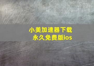 小美加速器下载永久免费版ios