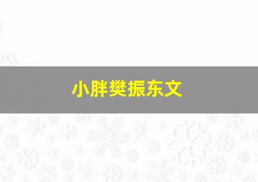 小胖樊振东文