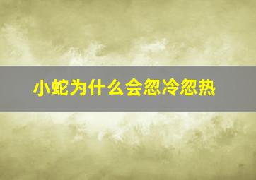 小蛇为什么会忽冷忽热