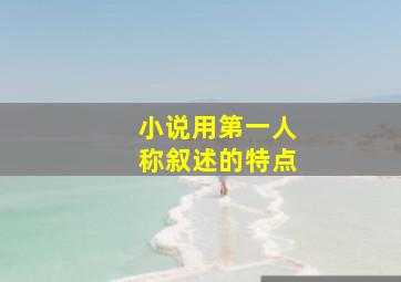 小说用第一人称叙述的特点