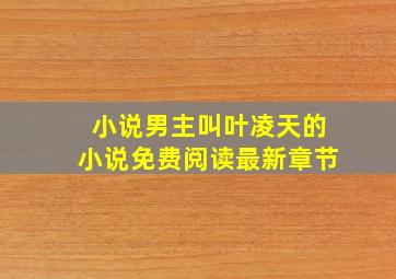 小说男主叫叶凌天的小说免费阅读最新章节