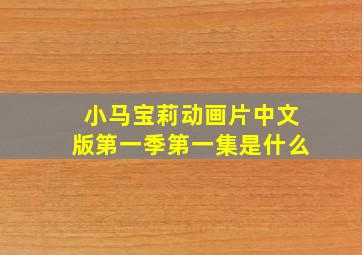 小马宝莉动画片中文版第一季第一集是什么