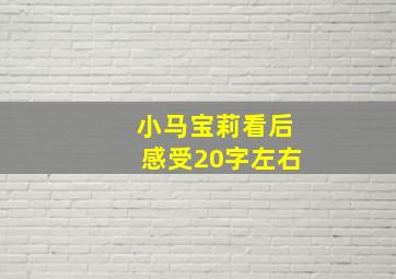 小马宝莉看后感受20字左右