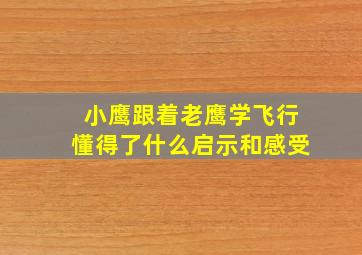 小鹰跟着老鹰学飞行懂得了什么启示和感受