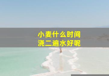 小麦什么时间浇二遍水好呢