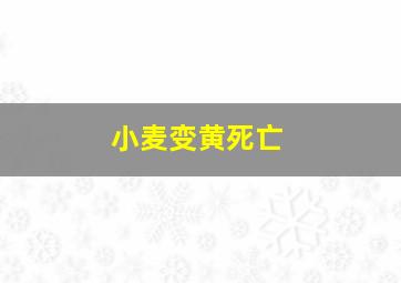 小麦变黄死亡