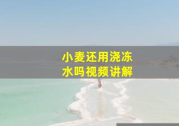 小麦还用浇冻水吗视频讲解