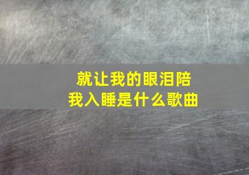 就让我的眼泪陪我入睡是什么歌曲