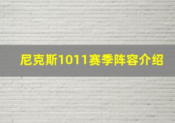 尼克斯1011赛季阵容介绍