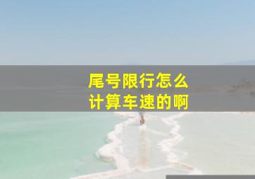 尾号限行怎么计算车速的啊