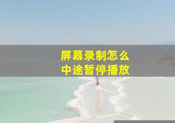 屏幕录制怎么中途暂停播放