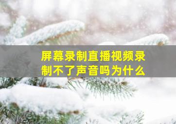 屏幕录制直播视频录制不了声音吗为什么