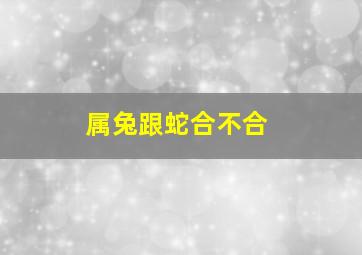 属兔跟蛇合不合