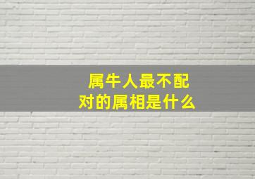 属牛人最不配对的属相是什么