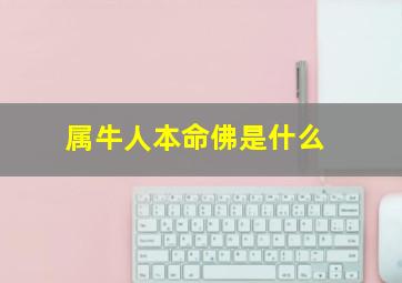 属牛人本命佛是什么