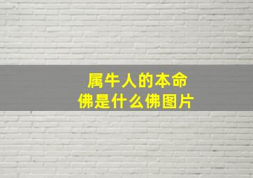 属牛人的本命佛是什么佛图片