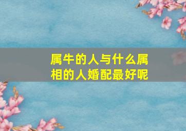 属牛的人与什么属相的人婚配最好呢