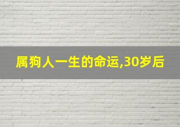 属狗人一生的命运,30岁后