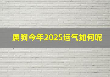 属狗今年2025运气如何呢