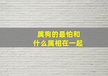 属狗的最怕和什么属相在一起