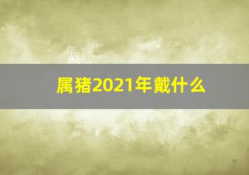 属猪2021年戴什么